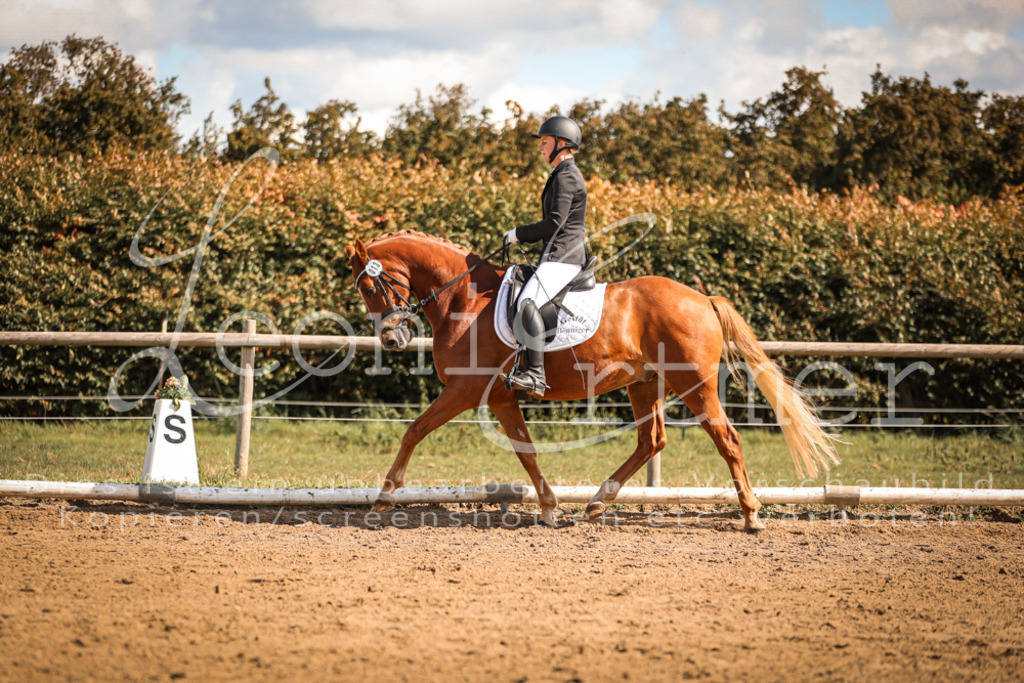 14.SaDrA200175 | Leoni Ertmer Photography - Realisiert mit Pictrs.com