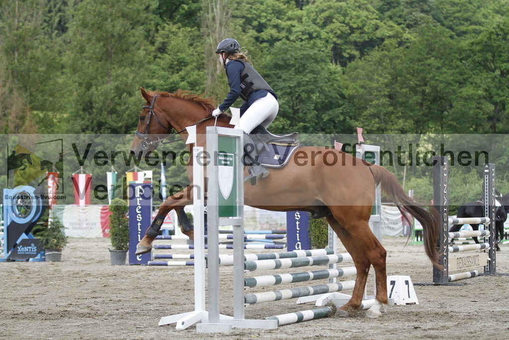 _MG_4358 | equestrian-live-com