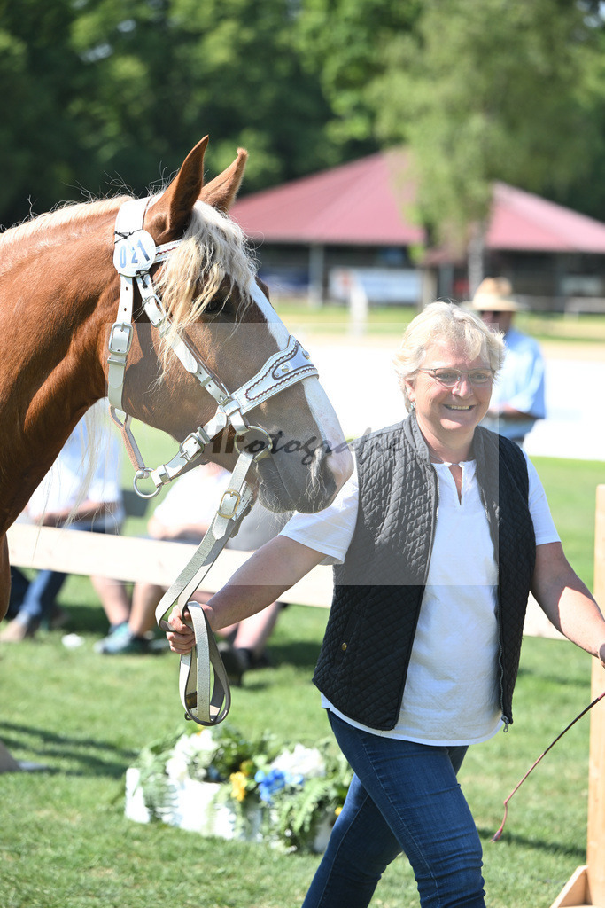 Kat-Nr. 21 Iluna_Steffl_20230316 | hf-fotografie - Realisiert mit Pictrs.com