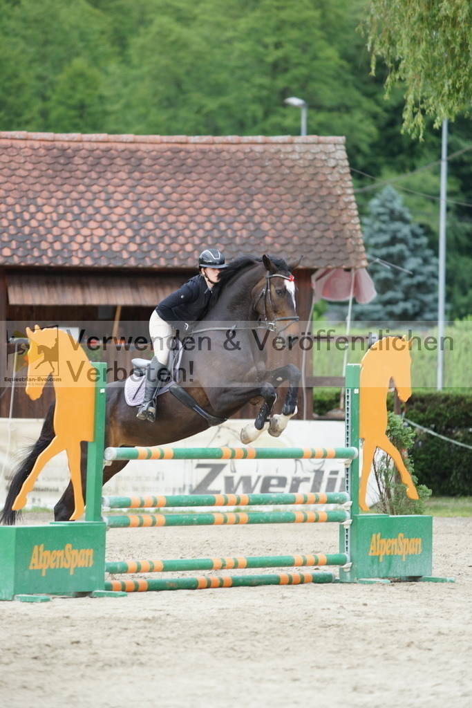 DSC07290 | equestrian-live-com
