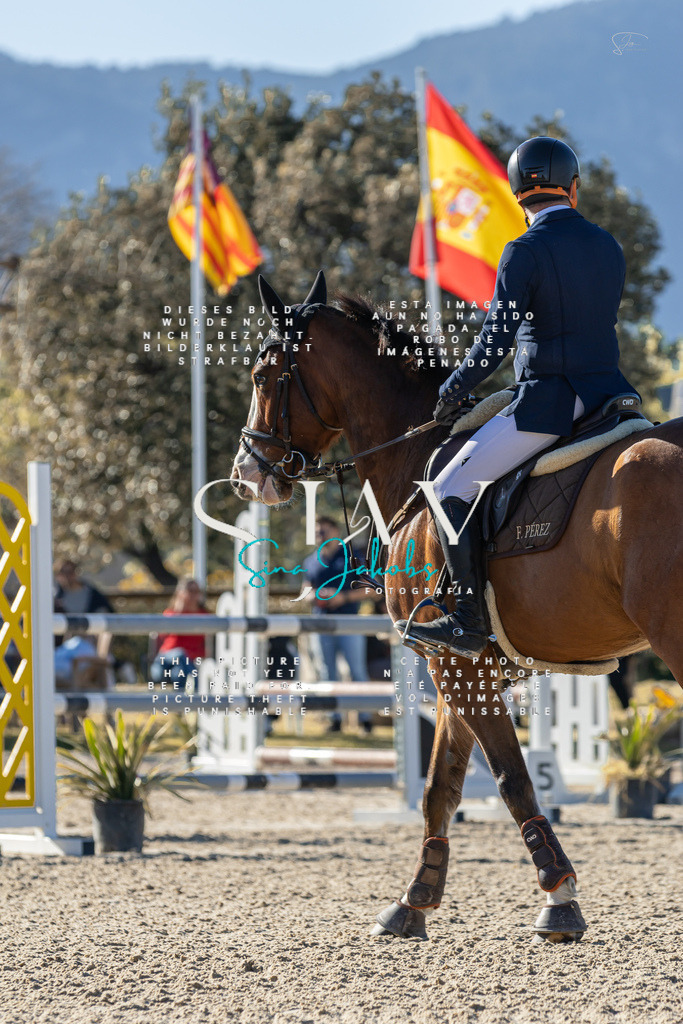 IMG_1815 | s-jay-photography - Realisiert mit Pictrs.com