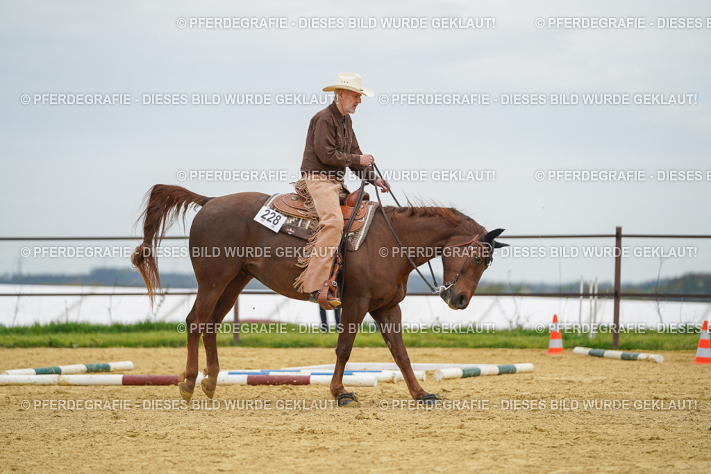 DSC02889 | Pferdegrafie