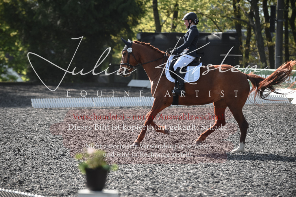 20230513_JK-Röhrsdorf-14-069 | Pferde- und Turnierfotografie in Westsachsen. Pferdeportraits, Auftragszeichnungen und intuitive Kunst.