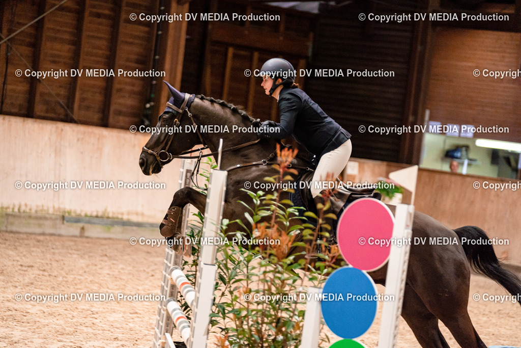 Springen Tag 2-033 | dv-media-shop - Realisiert mit Pictrs.com