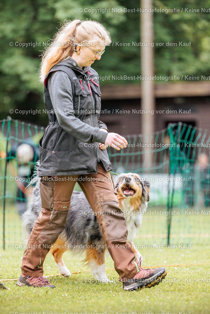 RO-Blumenthal-2026-Nickbest-Hundefotografie-2821 | Dein Hund! Dein Moment! Deine Erinnerungen! Hundefotografie in Bremen Blumenthal. Ich fange die besonderen Momente deines Vierbeiners ein – ob Indoor mit Blitzanlage oder in der freien Natur. Sicher dir dein Moment und dein Termin für eure Erinnerungen.