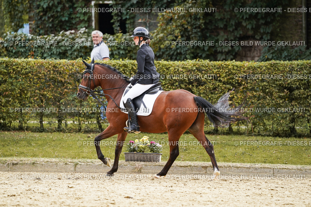 DSC00915 | Pferdegrafie