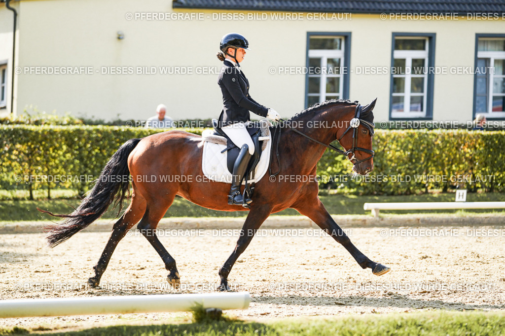 DSC07229 | Pferdegrafie