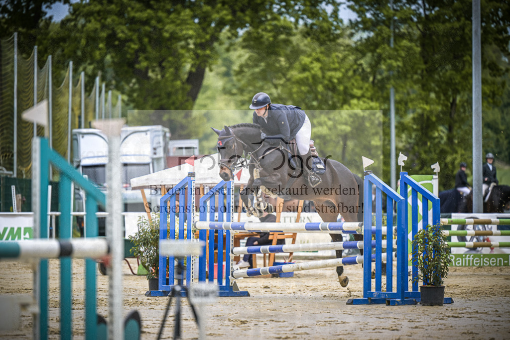 DOS_5427 | Entdecke hochwertige Reitturnierfotos von Foto Oger. Professionell, emotional und authentisch – jetzt Lieblingsmomente im Shop bestellen.Deutschlandweite Turnierfotografie. - Realisiert mit Pictrs.com