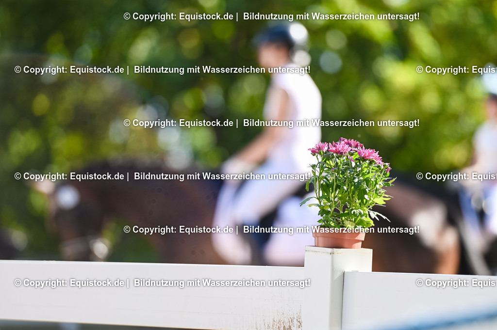 20230715_06_Dressurpferdeprfg. Kl.A_0231 | equistock