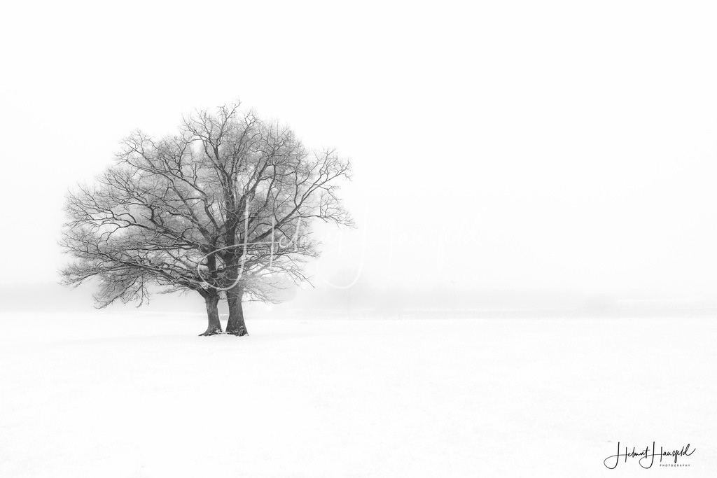 DSC05026-3kl | Landschaftsfotografie, Naturfotografie - Realisiert mit Pictrs.com