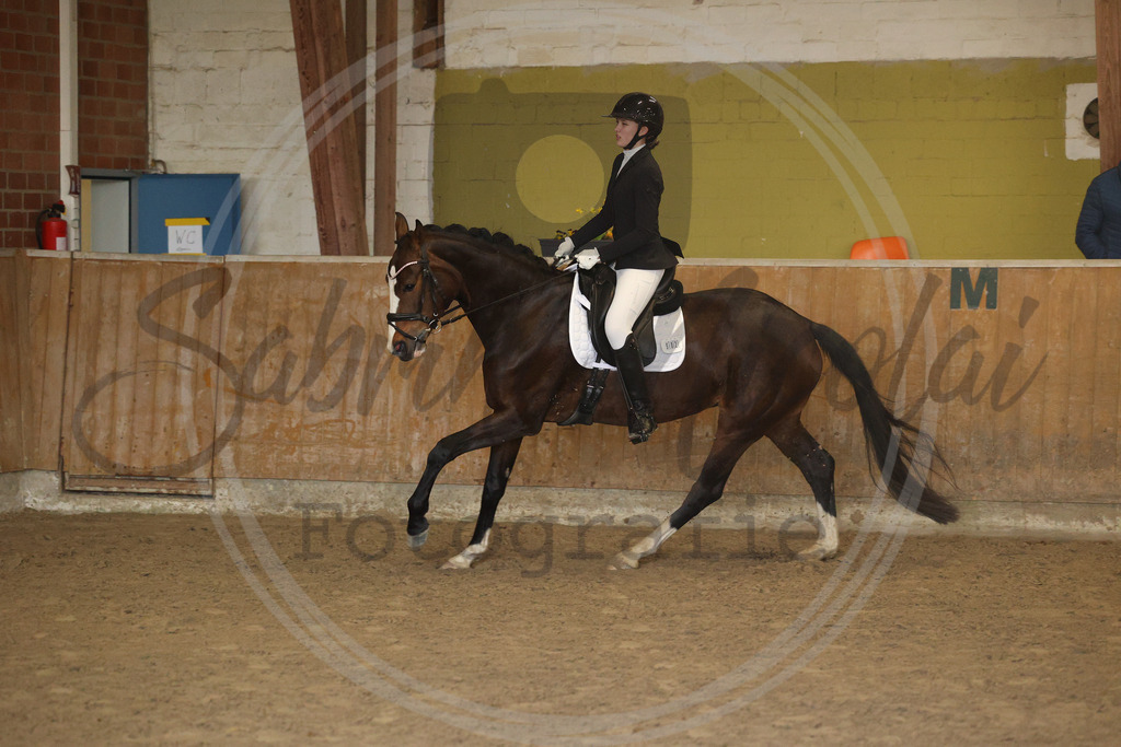 994A9105 | sabrinanicolaifotografie - Realisiert mit Pictrs.com