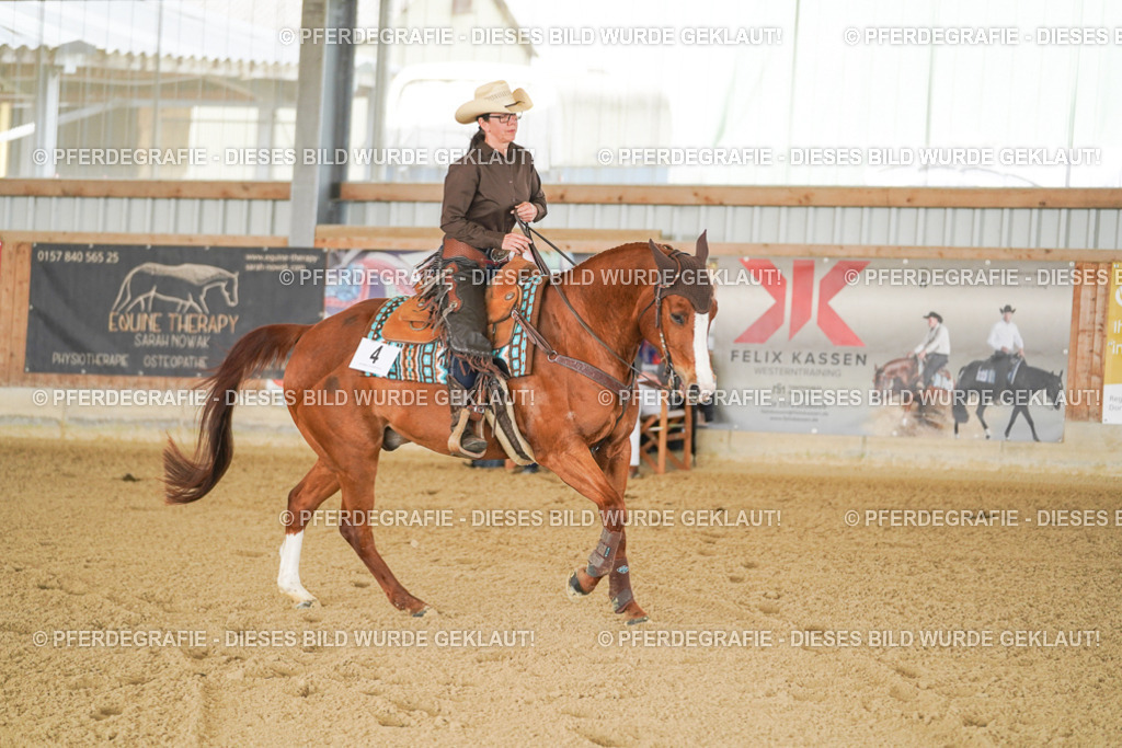 DSC02637 | Pferdegrafie