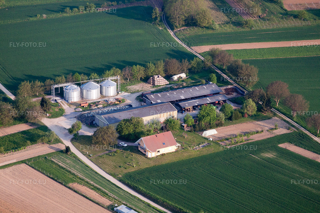 Vue aérienne: Ferme de la rue des Champs à Mothern dans le département Bas Rhin, France – .Photo: IMG_40330.jpg prise le 22/04/2011 par Werner Riehm/FLY-FOTO.eu – Résolution de l'original: 4752 x 3168 px