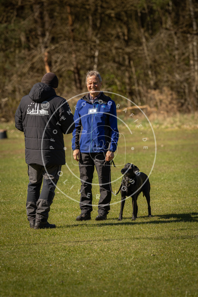 Pfotenfotografie_DV3A0387 | Hundefotografie, Tierfotograf, Pfotenfotografie, Fotoshooting Hund, Hunde Portrait, Hundesport, Hundeportraits, Heideshooting, Hunde, Sportfotograf, Hundefotograf, Turnierhundsport, THS,  - Realisiert mit Pictrs.com