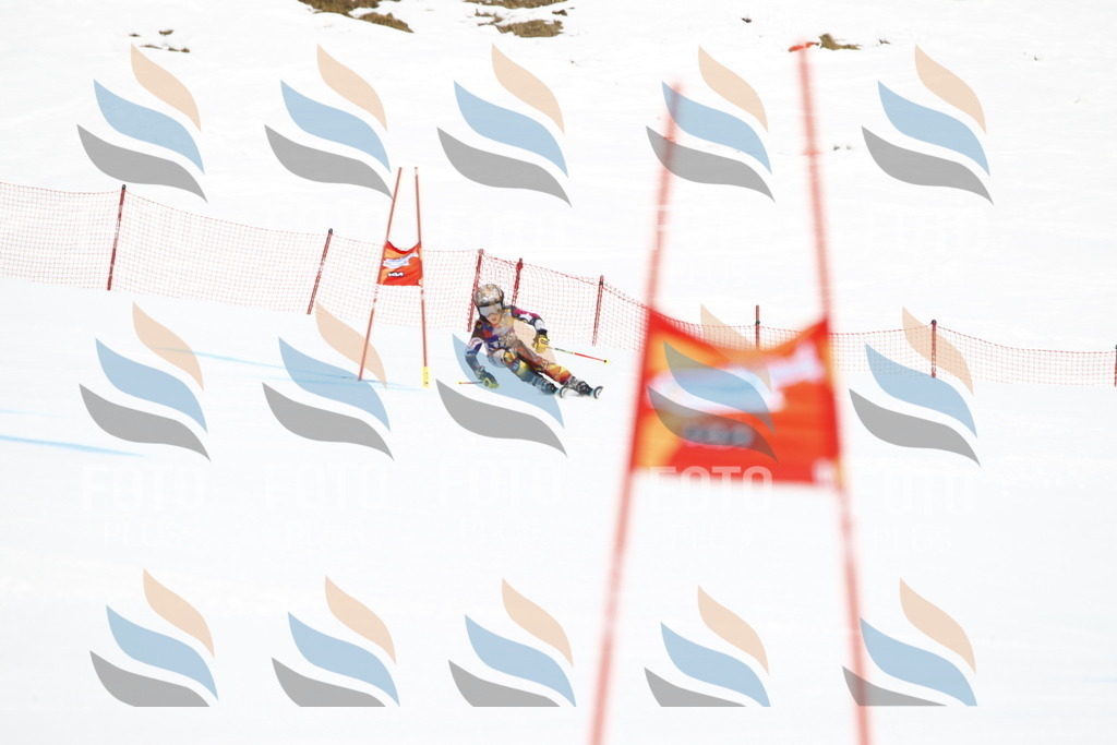 _U3G4533 | holidayphoto