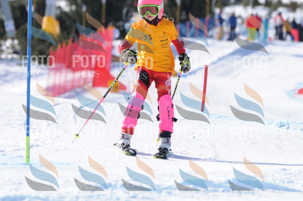 C6966 | holidayphoto