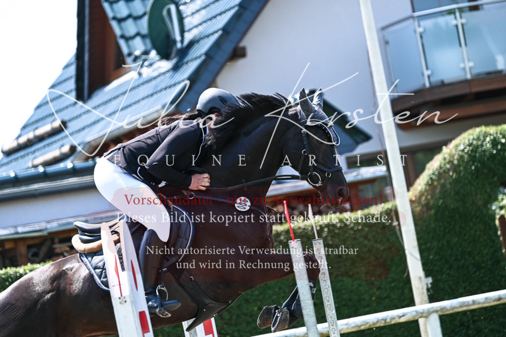 DSC_0219 | Pferde- und Turnierfotografie in Westsachsen. Pferdeportraits, Auftragszeichnungen und intuitive Kunst.