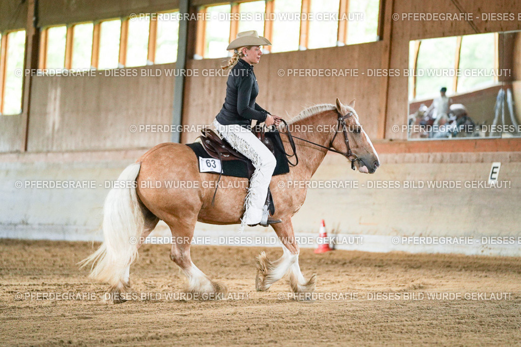 DSC05506 | Pferdegrafie