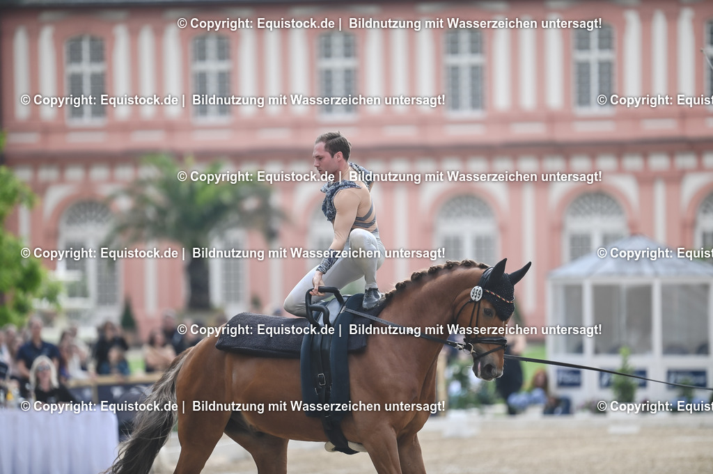 20240519_Voltige_0566 | Foto: Thomas Hartig