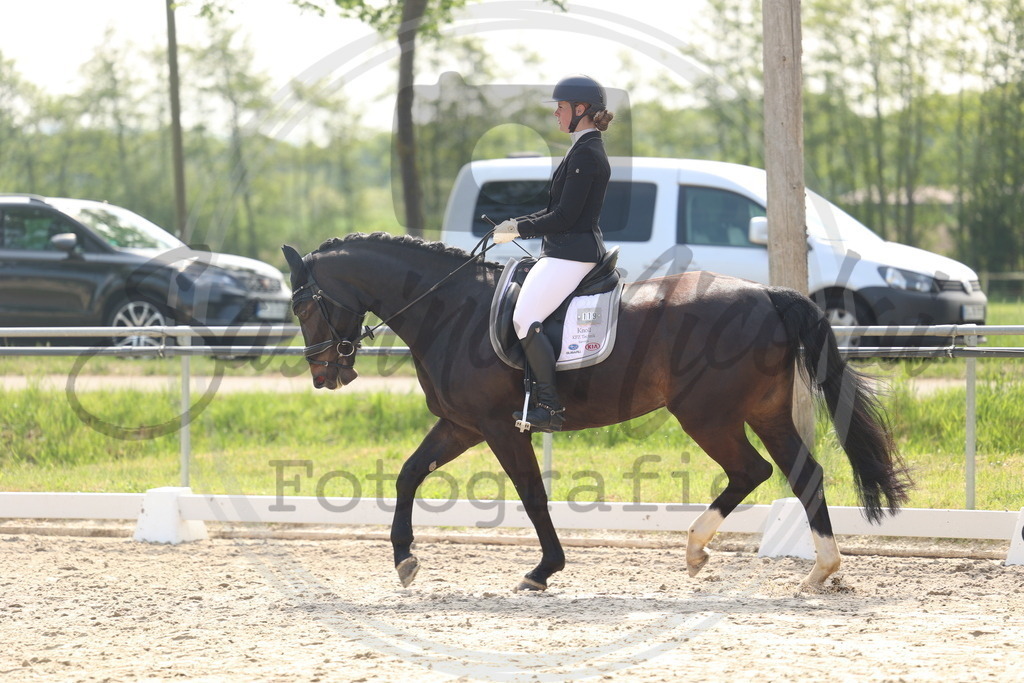 994A6614 | sabrinanicolaifotografie - Realisiert mit Pictrs.com