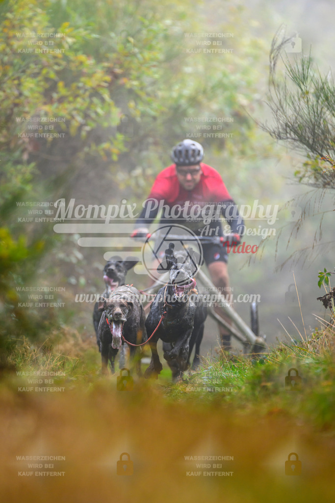 MompixPhotography_20TSB_E4_Kart-10 | PayLife