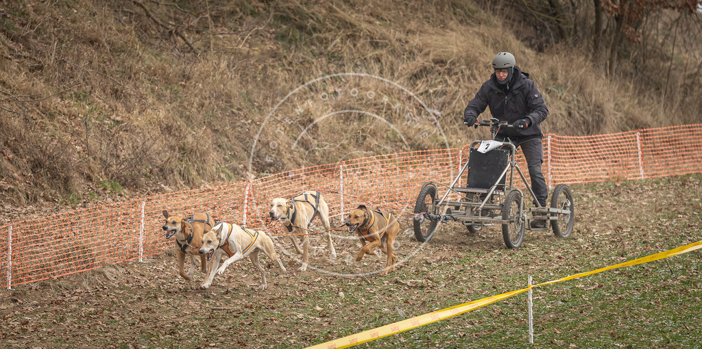 Pfotenfotografie_DV3A8057 | Hundefotografie, Tierfotograf, Pfotenfotografie, Fotoshooting Hund, Hunde Portrait, Hundesport, Hundeportraits, Heideshooting, Hunde, Sportfotograf, Hundefotograf, Turnierhundsport, THS,  - Realisiert mit Pictrs.com