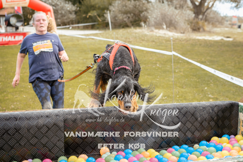 1347_ZZ92193-2 | kk-dogfotos