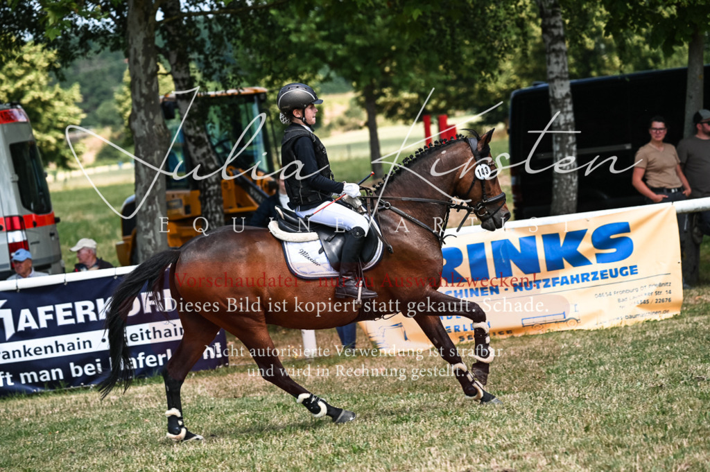 DSC_9653 | Pferde- und Turnierfotografie in Westsachsen. Pferdeportraits, Auftragszeichnungen und intuitive Kunst.