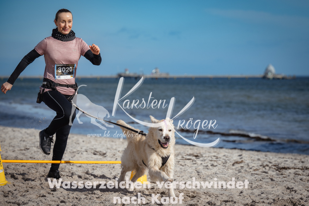 1345_ZZ93162 | kk-dogfotos