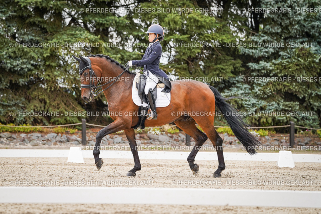 DSC05368 | Pferdegrafie