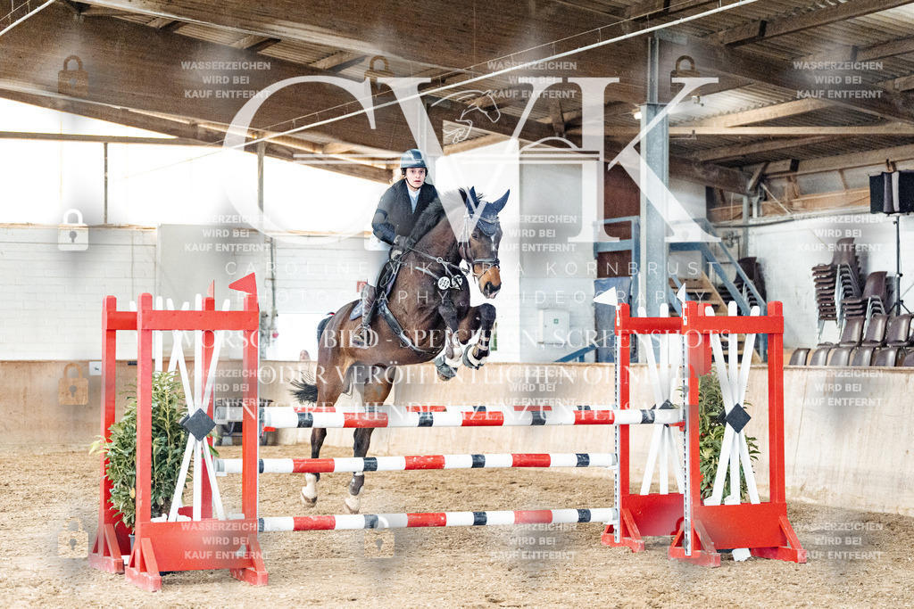 CK906234 | Turnierfotografie Pferdefotografie Trier Rheinland-Pfalz Pferdesport Reitsport Tierfotografie Sportfotografie Pferdevideo Pferdevideografie Equestrianvideography equestrianphotography  - Realized with Pictrs.com