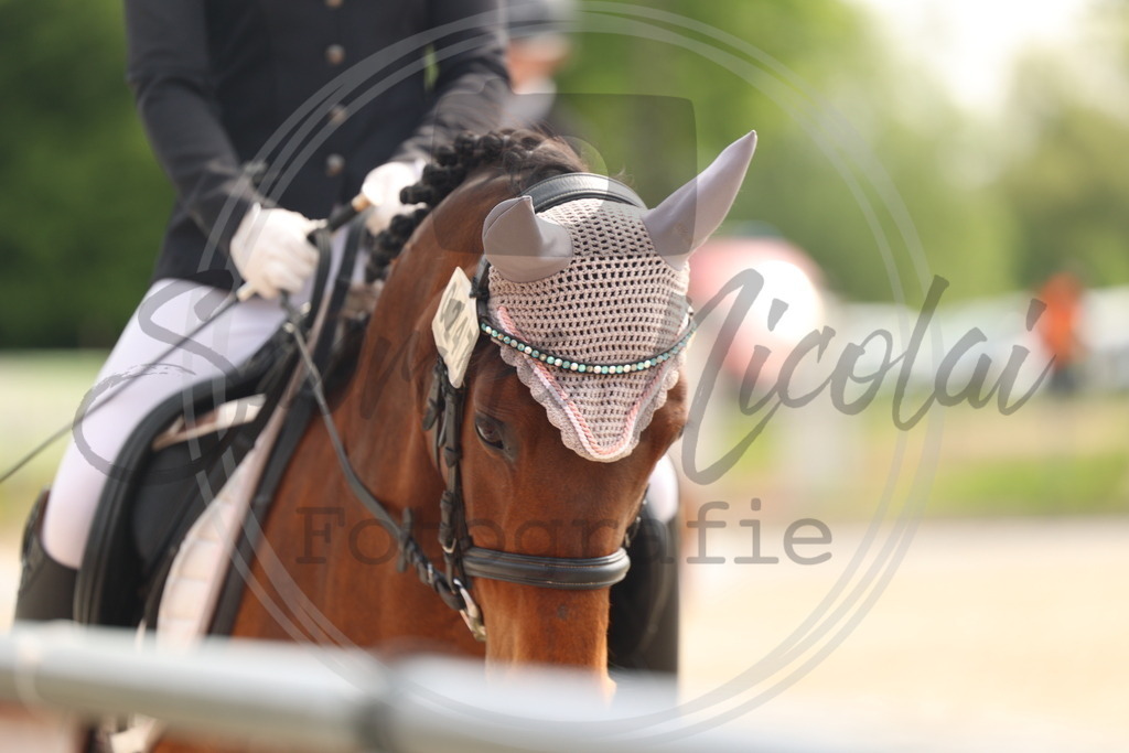 994A6829 | sabrinanicolaifotografie - Realisiert mit Pictrs.com