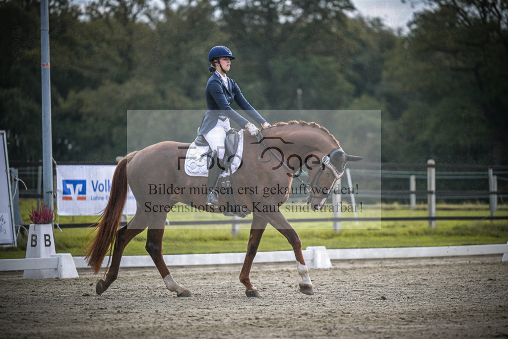 DOS_2855 | Entdecke hochwertige Reitturnierfotos von Foto Oger. Professionell, emotional und authentisch – jetzt Lieblingsmomente im Shop bestellen.Deutschlandweite Turnierfotografie. - Realisiert mit Pictrs.com
