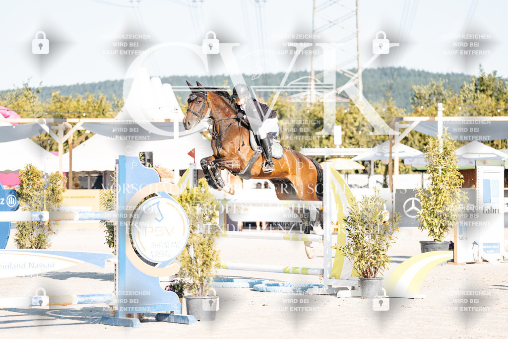 CK904136 | Turnierfotografie Pferdefotografie Trier Rheinland-Pfalz Pferdesport Reitsport Tierfotografie Sportfotografie Pferdevideo Pferdevideografie Equestrianvideography equestrianphotography  - Realisiert mit Pictrs.com