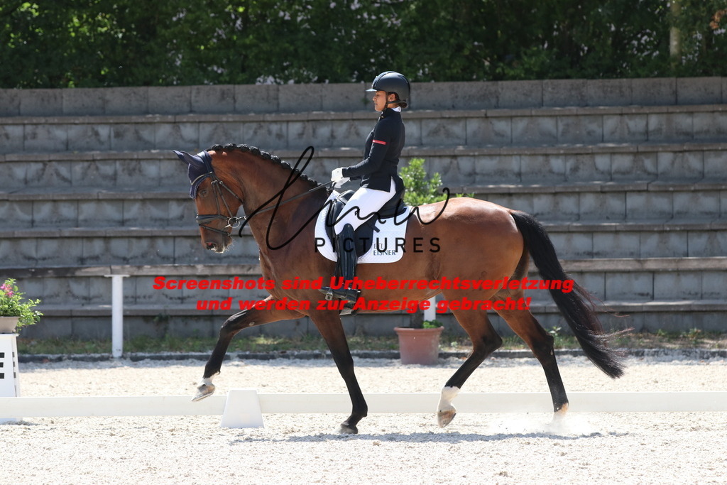 IMG_5225 | lmwpictures - Realisiert mit Pictrs.com