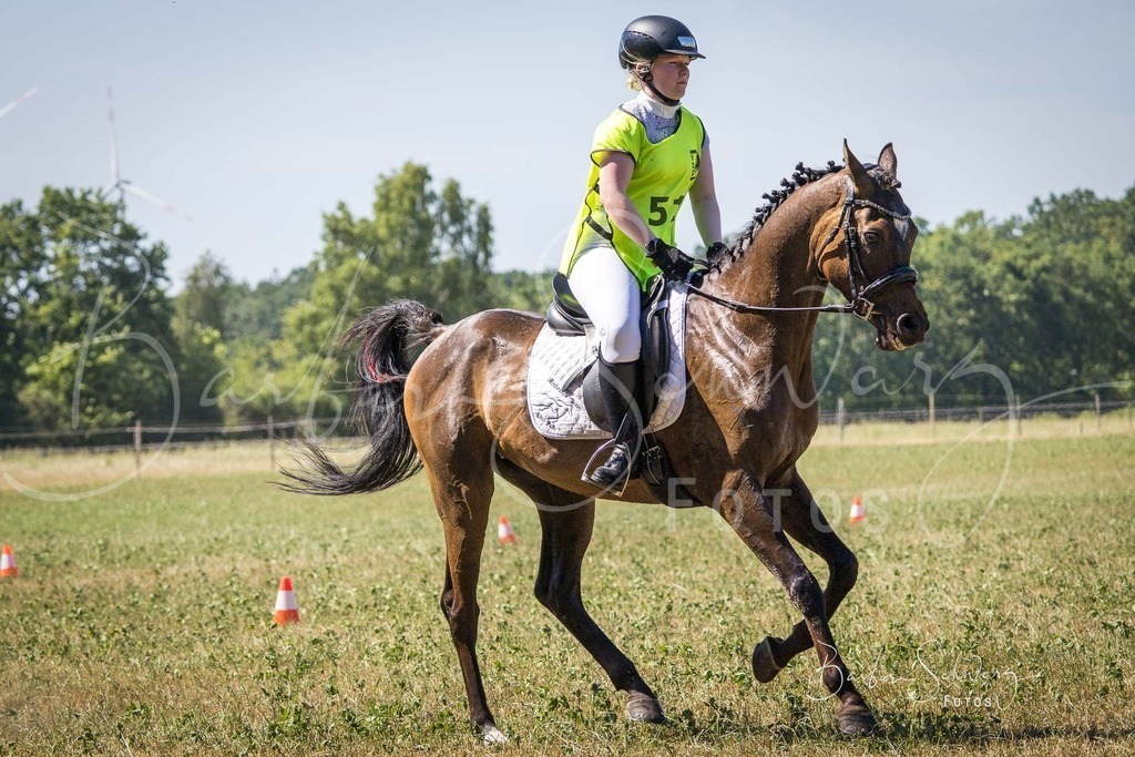 CJP_2026-06-26_159 | Stimmungsvolle Fotografie von Pferden, fotografische Begleitung von Veranstaltungen, Golfturnieren und Distanzritten - Realisiert mit Pictrs.com