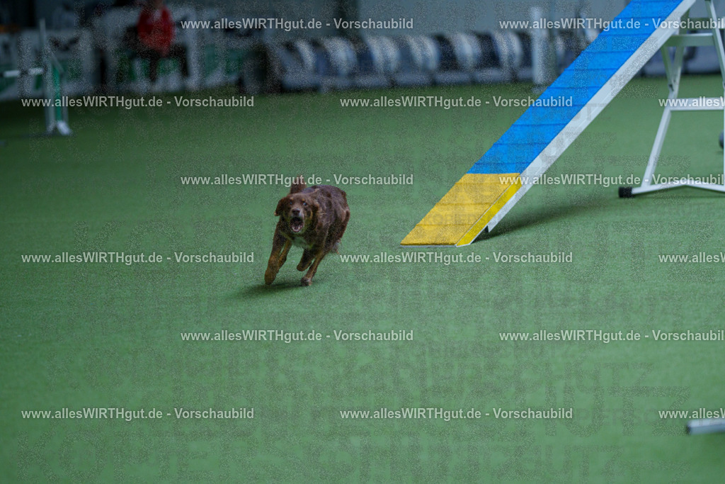 @allesWIRTHgut_Tierfotografie - www.allesWIRTHgut.de - 2604261140-7R500158 | Professionelle Tierfotografie in Mönchengladbach von Daniel Wirth (allesWIRTHgut). Liebevolle & natürliche Bilder von Hunden & Katzen für unvergessliche Erinnerungen.
