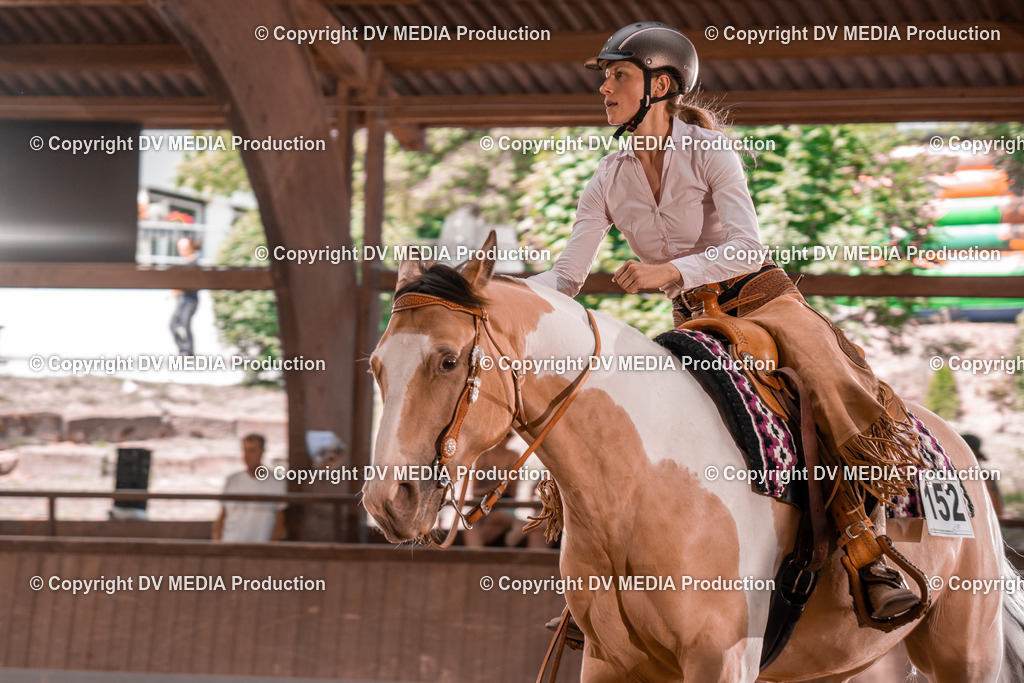 NE100552 | dv-media-shop - Realisiert mit Pictrs.com