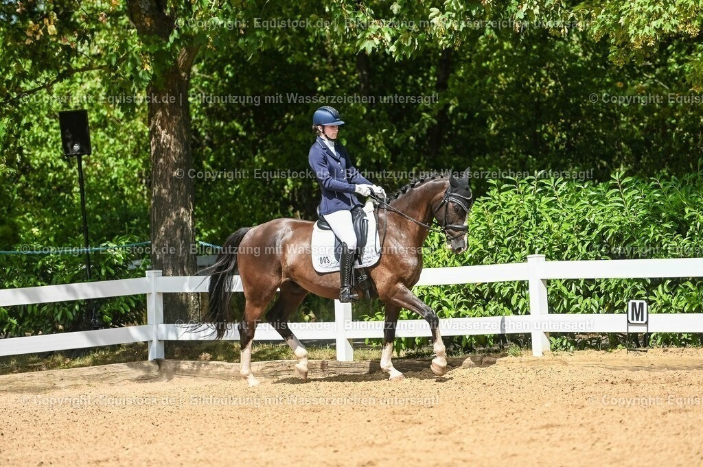 20230715_02_Dressurreiterprüfung Kl.L_0295 | equistock