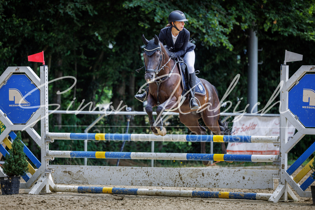 20260705-_3LI5422 | Tierfotografie Pferde, Hunde, Katzen, Haustiere.
Turnierfotografie Reitturniere, Reiten, Springreiten, Dressur in Hanau, dem Main-Kinzig-Kreis und dem Rhein-Main- Gebiet um Frankfurt