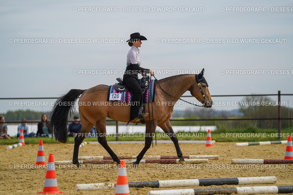 DSC03718 | Pferdegrafie