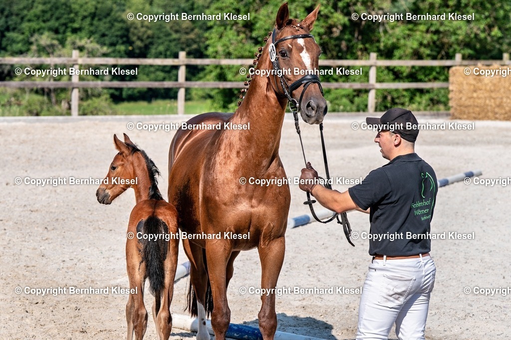 2A906534 | foto-team-bernhard - Realisiert mit Pictrs.com