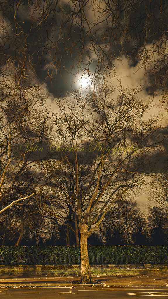 P 44 | Christian Vulin  - Realisiert mit Pictrs.com