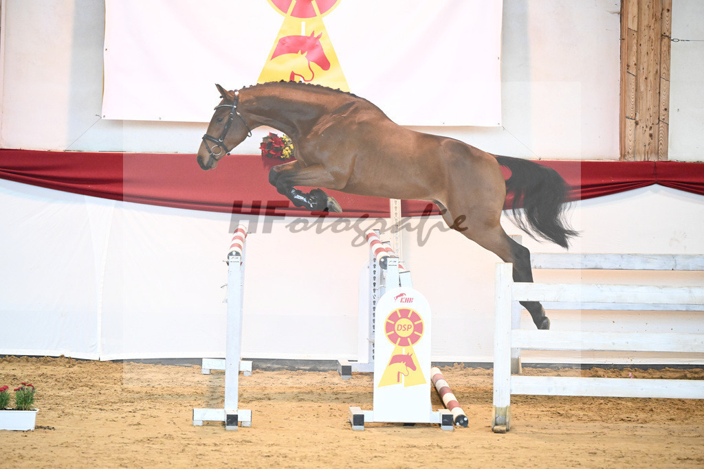 Kat-Nr. 34 Herald x Nimmerdor_Stahl_43231340 | hf-fotografie - Realisiert mit Pictrs.com