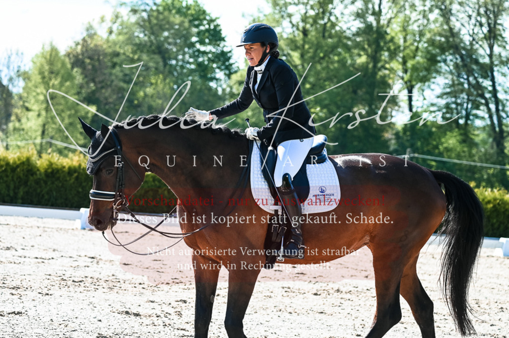 20230513_JK-Röhrsdorf-10-0109 | Pferde- und Turnierfotografie in Westsachsen. Pferdeportraits, Auftragszeichnungen und intuitive Kunst.
