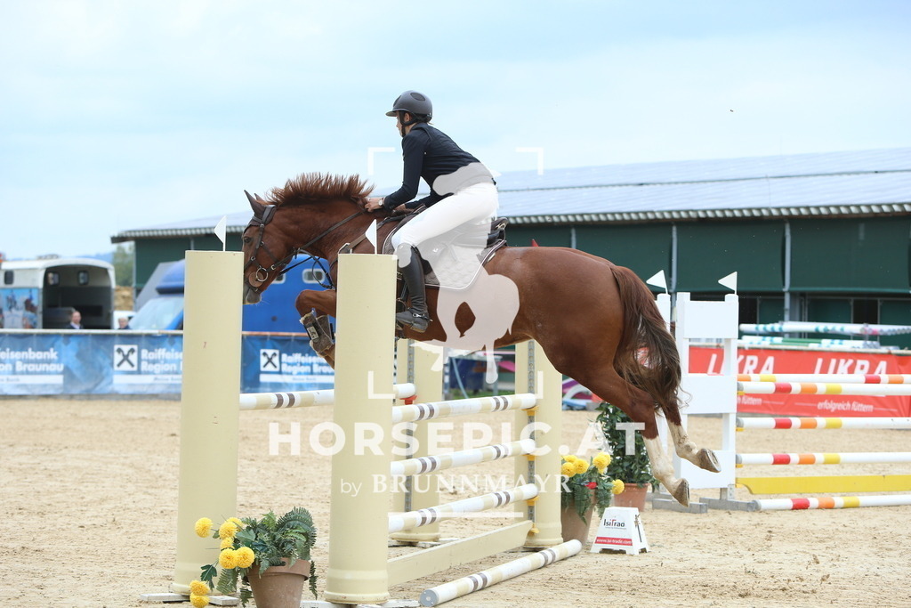 DL2Q6927 | Willkommen bei Brunnmayr - Design & Fotografie – Ihrem Spezialisten für Reitturniere und Pferdeveranstaltungen in Oberösterreich, Salzburg und Bayern! Seit über 17 Jahren sind wir leidenschaftlich dabei.