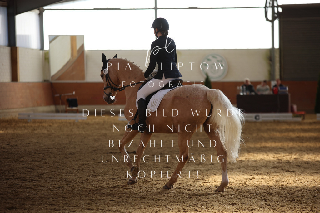 IMGT7274 | pl-fotografie