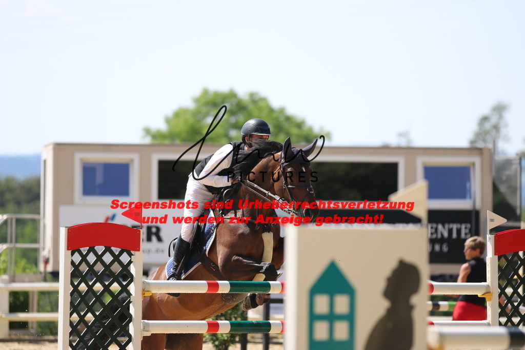 IMG_2792 | lmwpictures - Realisiert mit Pictrs.com