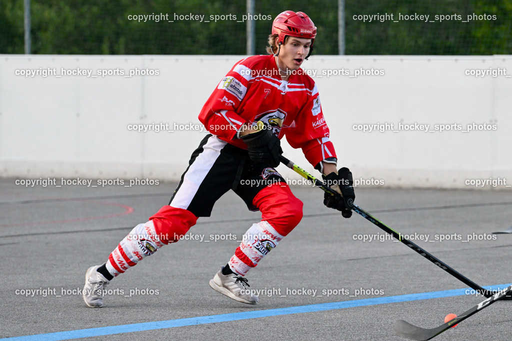 Team Zehenthof vs. HSC Eagles 14.7.2023 | #7 Van EE Fin
