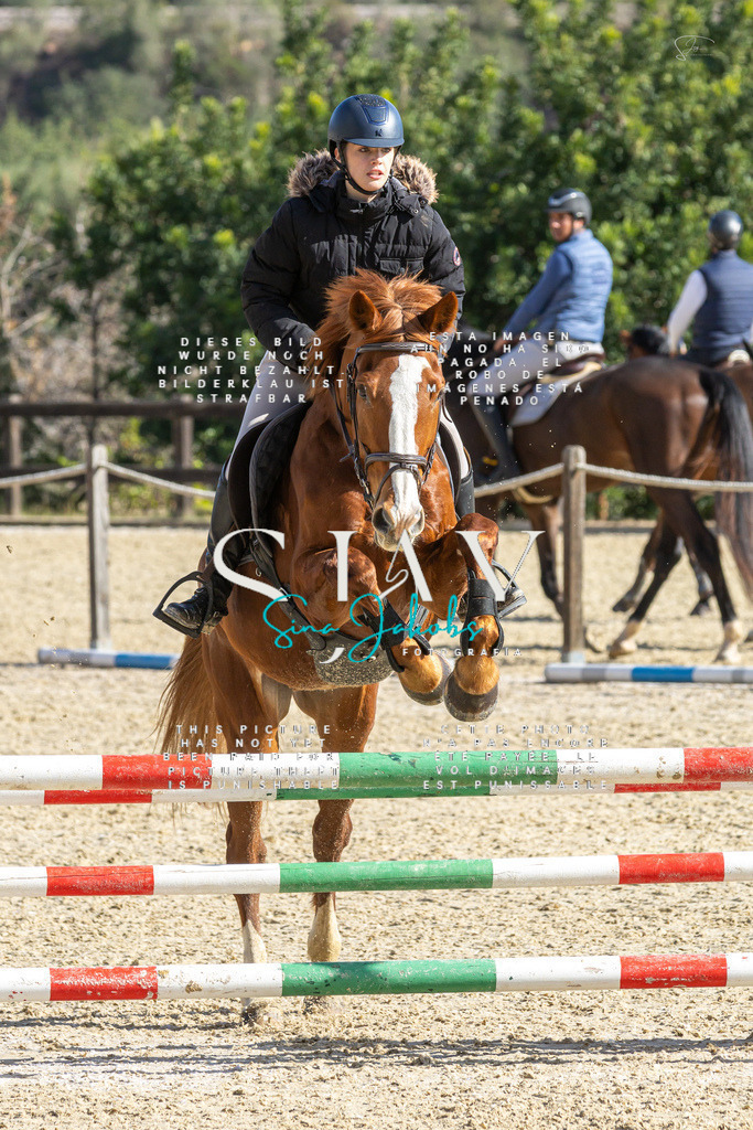 IMG_3877 | s-jay-photography - Realisiert mit Pictrs.com